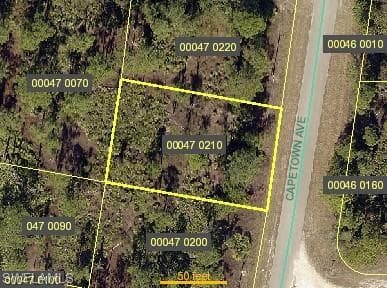 1048 Capetown AVE LEHIGH ACRES, FL 33974
