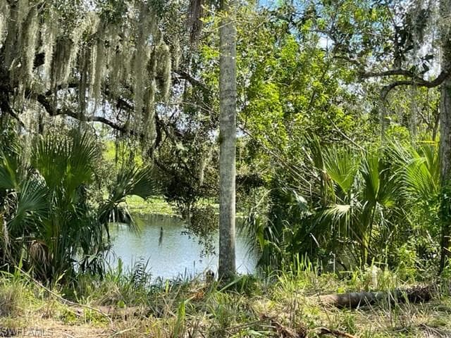 1307 Eagle Point DR FORT DENAUD, FL 33935