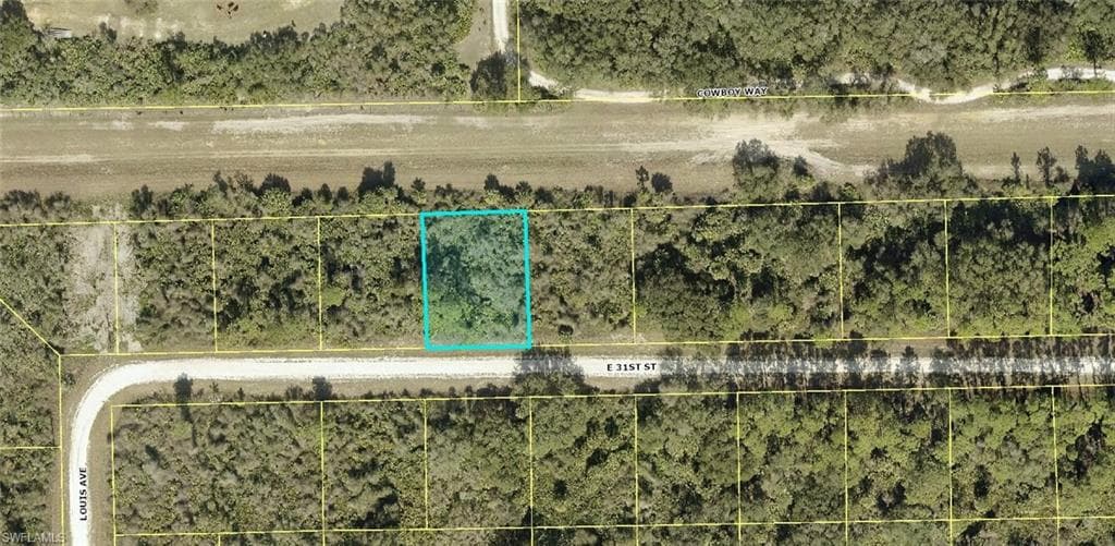 4195 E 31st ST ALVA, FL 33920