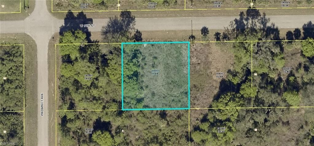 405 W 9th ST LEHIGH ACRES, FL 33972