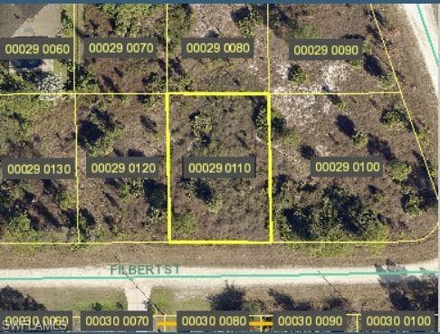 951 Filbert ST LEHIGH ACRES, FL 33974