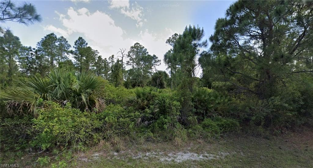 920 Berg ST E LEHIGH ACRES, FL 33974