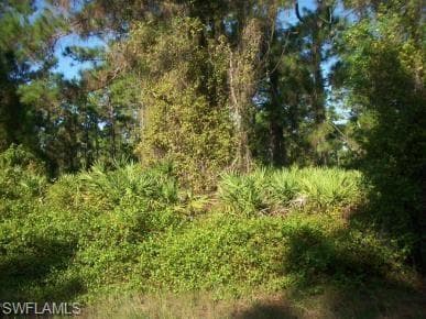 516 Summit AVE S LEHIGH ACRES, FL 33974