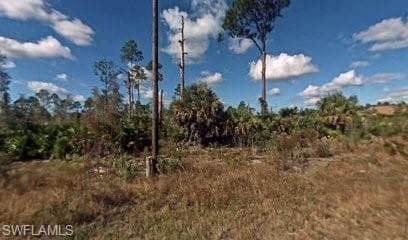 4602 Flora AVE N LEHIGH ACRES, FL 33971