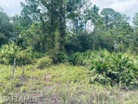 813 Cortez AVE LEHIGH ACRES, FL 33972