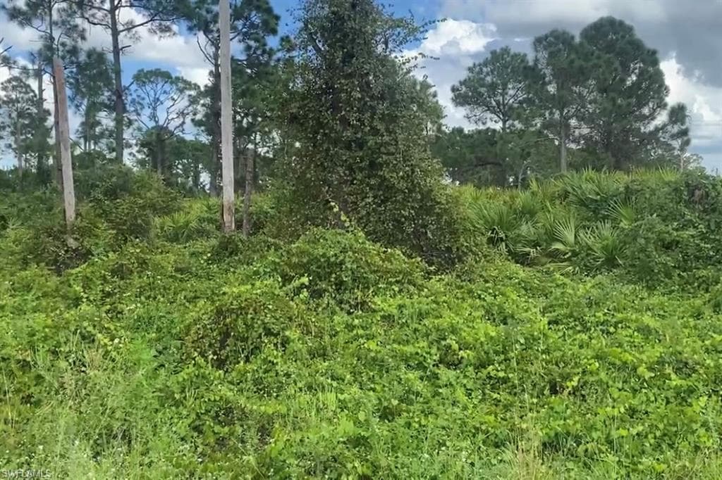 725 Da Vinci AVE S LEHIGH ACRES, FL 33974