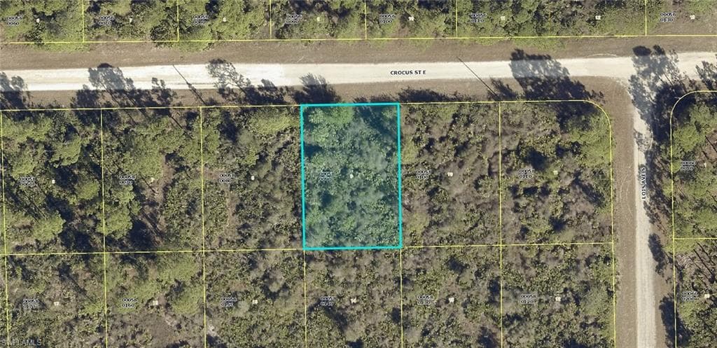 1124 Crocus ST E LEHIGH ACRES, FL 33974