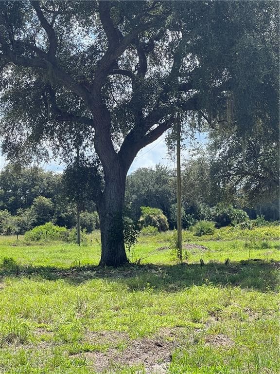 212 Avenida Del CLEWISTON, FL 33440