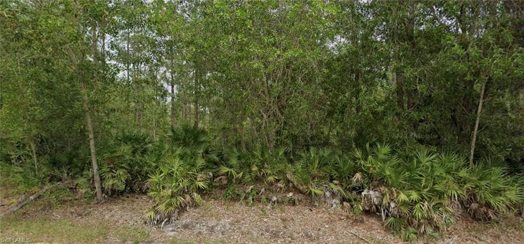 116 Leroy AVE LEHIGH ACRES, FL 33936