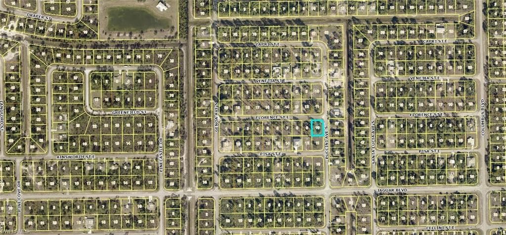 Corner Lot(Southcorner Florence St E & Puccini Av LEHIGH ACRES, FL 33974