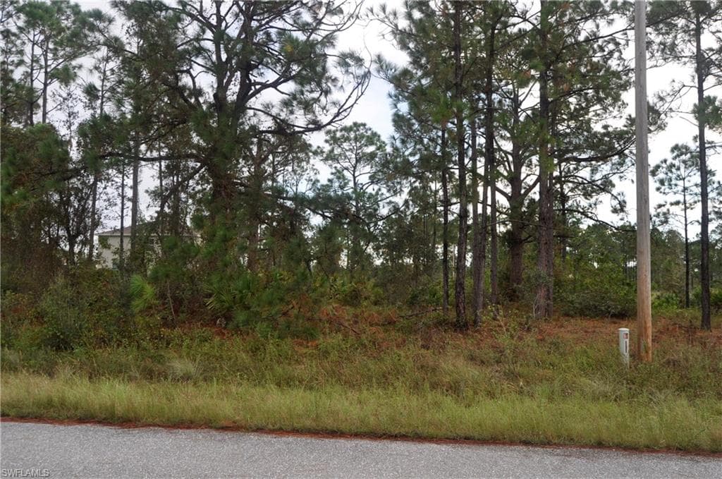 725 Drury AVE LEHIGH ACRES, FL 33974