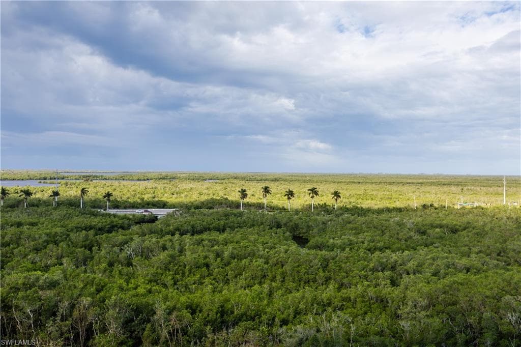 1065 Borghese LN 902 NAPLES, FL 34114