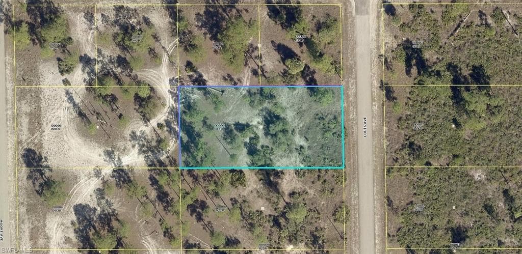 421 Louis AVE LEHIGH ACRES, FL 33972