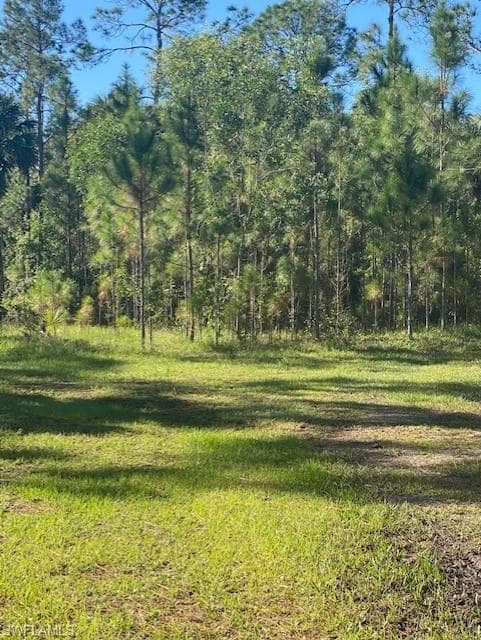 4732-4734 24th ST SW LEHIGH ACRES, FL 33973