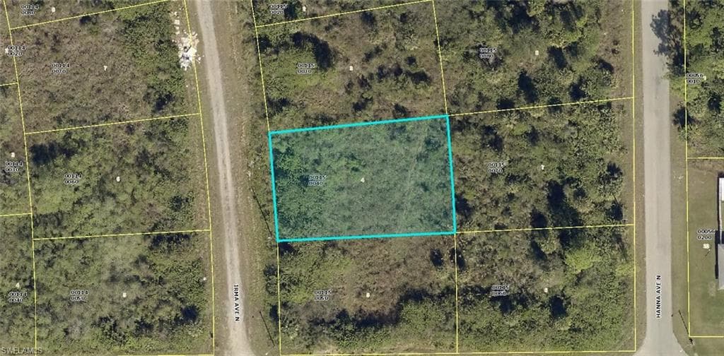 2602 Irma AVE N LEHIGH ACRES, FL 33971