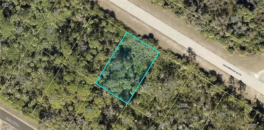 623 Greenbriar BLVD LEHIGH ACRES, FL 33972