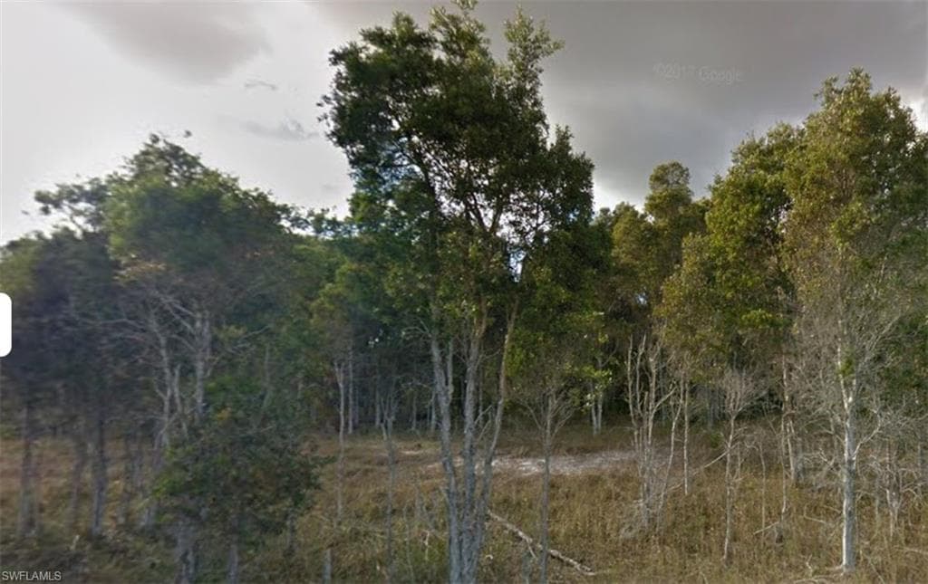 1084 Portland AVE S LEHIGH ACRES, FL 33974