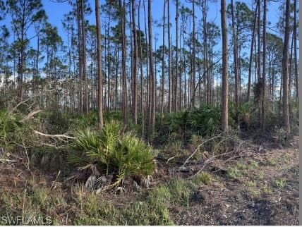 2303 Bayberry LN NORTH FORT MYERS, FL 33917