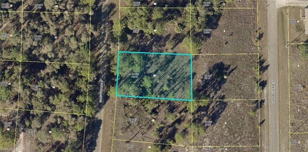 711 Goldwyn AVE S LEHIGH ACRES, FL 33974