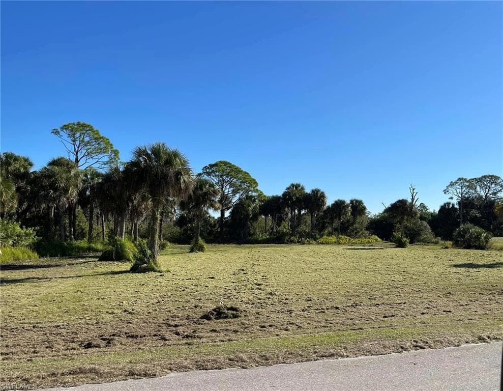 18400 River Estates LN ALVA, FL 33920