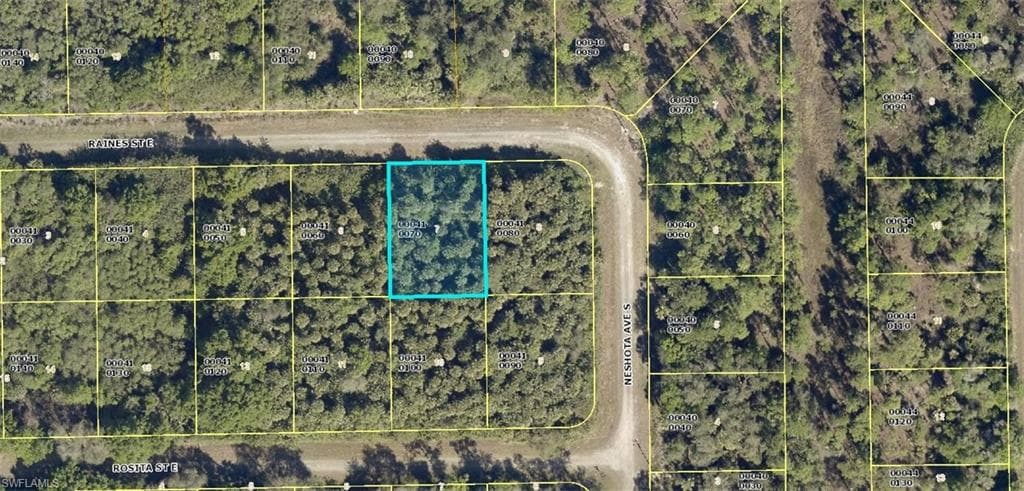 1222 Raines ST E LEHIGH ACRES, FL 33974