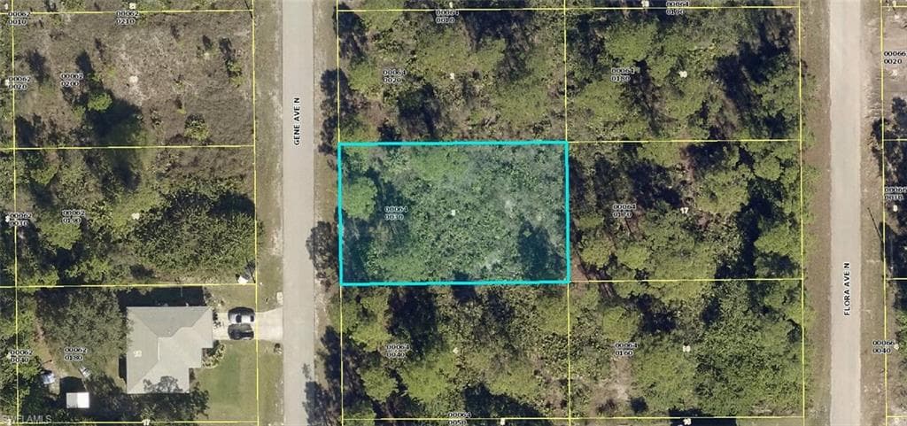 2918 Gene AVE N LEHIGH ACRES, FL 33971
