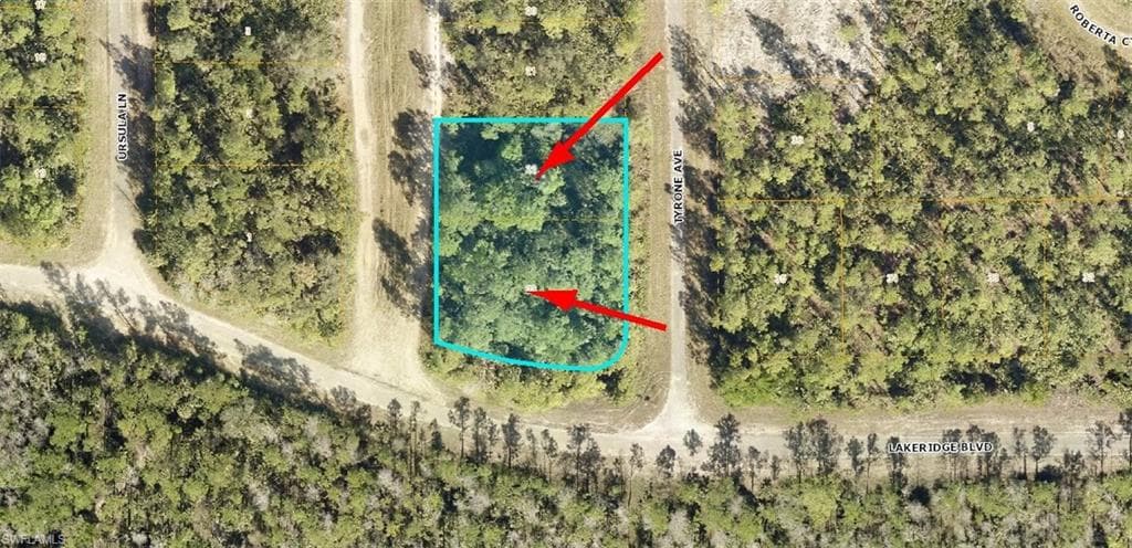 344 Tyrone AVE LEHIGH ACRES, FL 33972