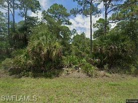 14158 Dunlap AVE PORT CHARLOTTE, FL 33953