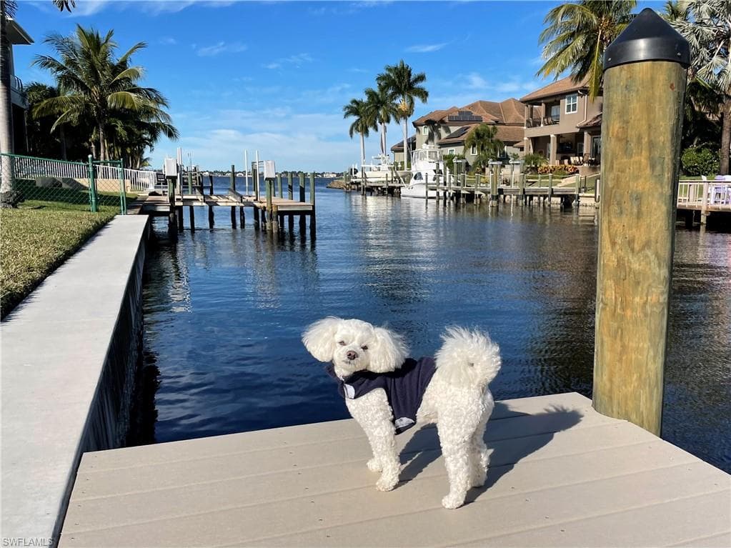 799 Cape View DR FORT MYERS, FL 33919