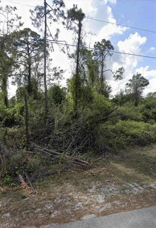 1053 Albert AVE LEHIGH ACRES, FL 33971