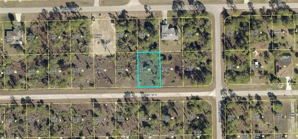 1227 Count ST E LEHIGH ACRES, FL 33974