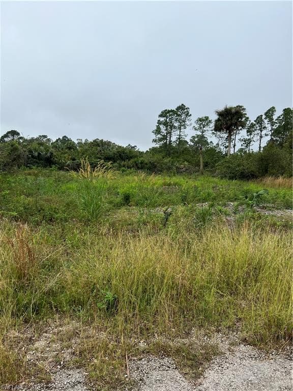 1244 Howell ST E LEHIGH ACRES, FL 33974