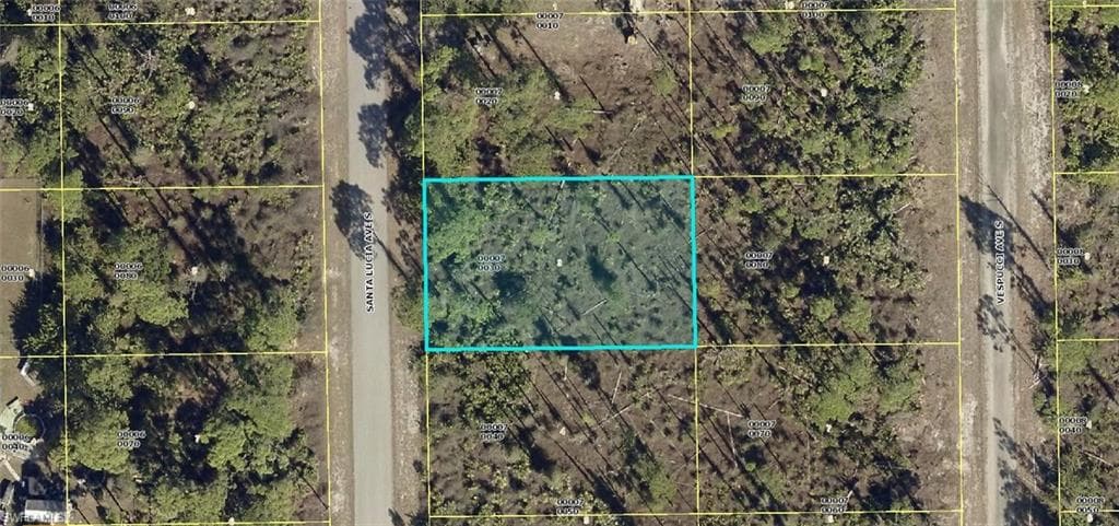 709 Santa Lucia AVE S LEHIGH ACRES, FL 33974
