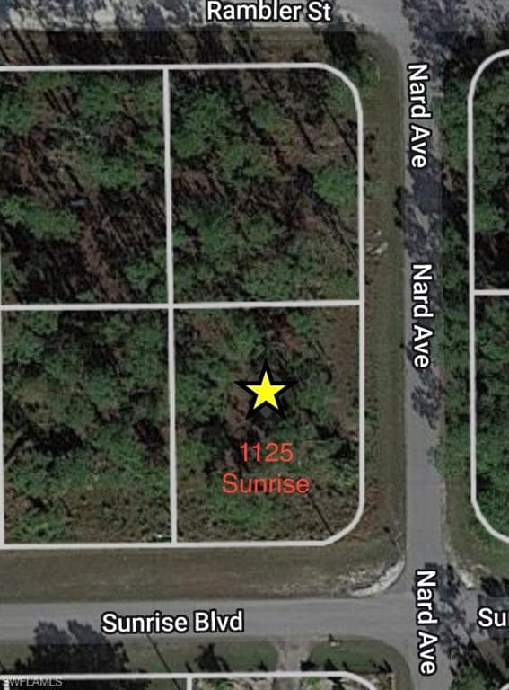 1125 Sunrise BLVD LEHIGH ACRES, FL 33974