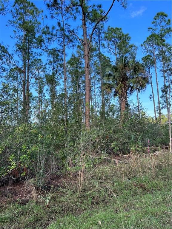 1021 desoto LEHIGH ACRES, FL 33972