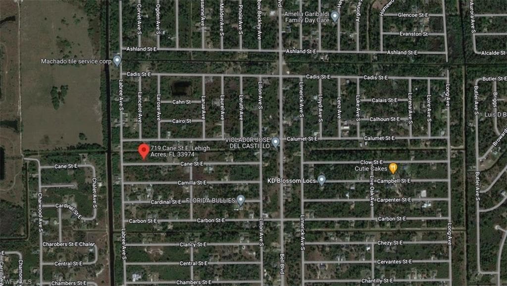 719 Cane ST E LEHIGH ACRES, FL 33974