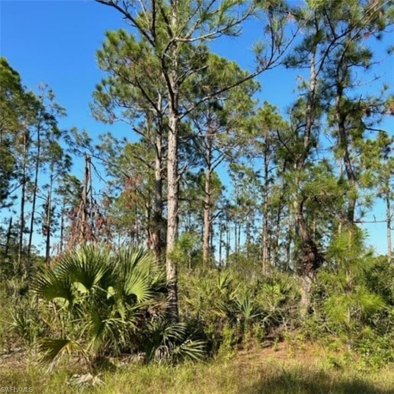 3202 32nd ST W LEHIGH ACRES, FL 33971