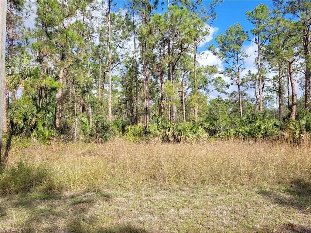 2425 Jetridge ST ALVA, FL 33920