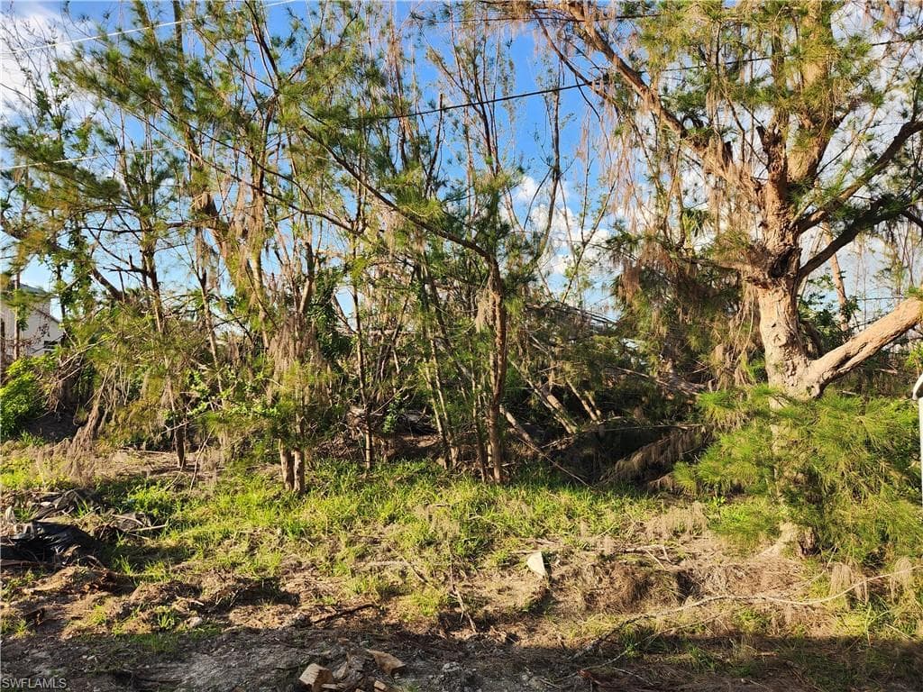 3813 SW 3rd ST CAPE CORAL, FL 33991
