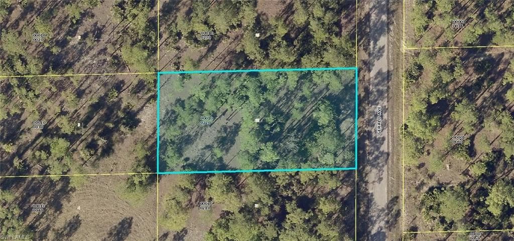 1221 Gerald AVE LEHIGH ACRES, FL 33972