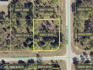 1219 E Racoon ST LEHIGH ACRES, FL 33974