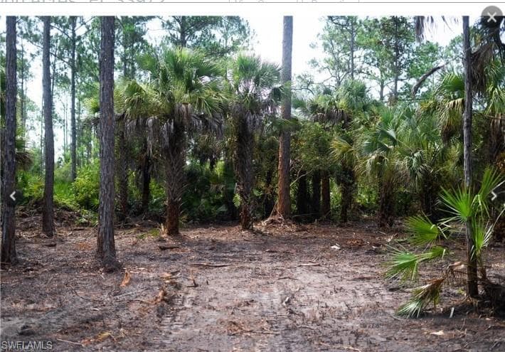 1952 Roderick LN LEHIGH ACRES, FL 33972