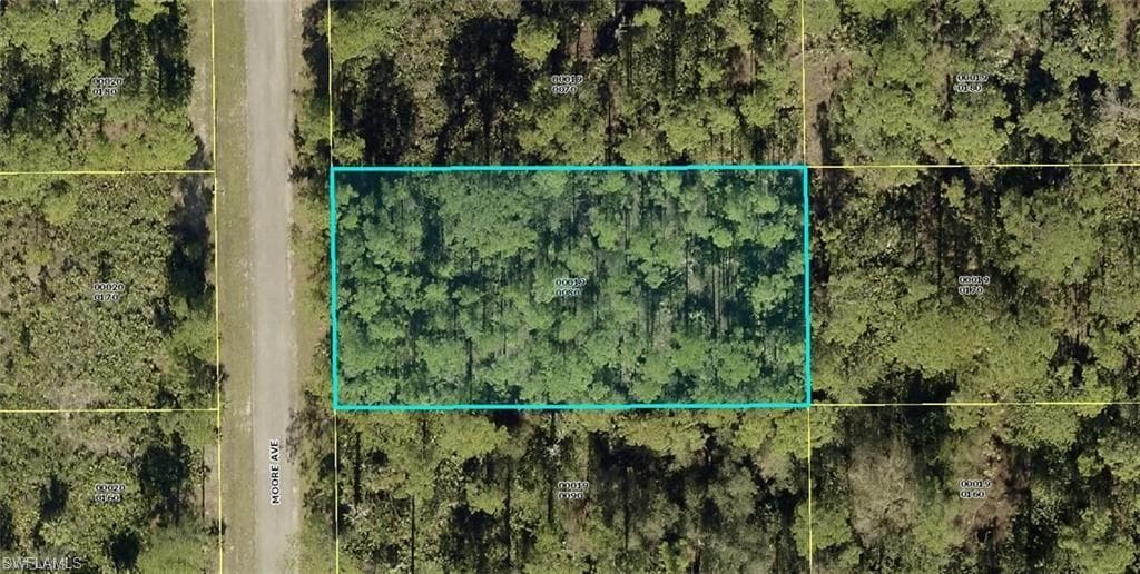 2108 Moore AVE ALVA, FL 33920
