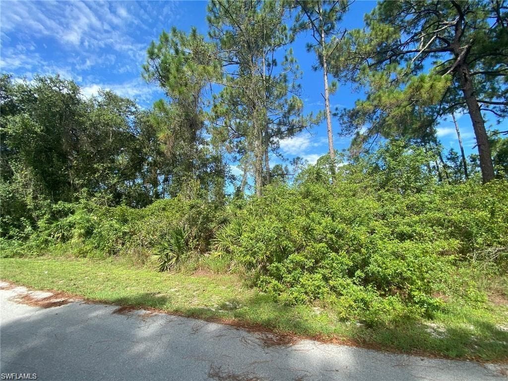 320 Mangonia AVE LEHIGH ACRES, FL 33974
