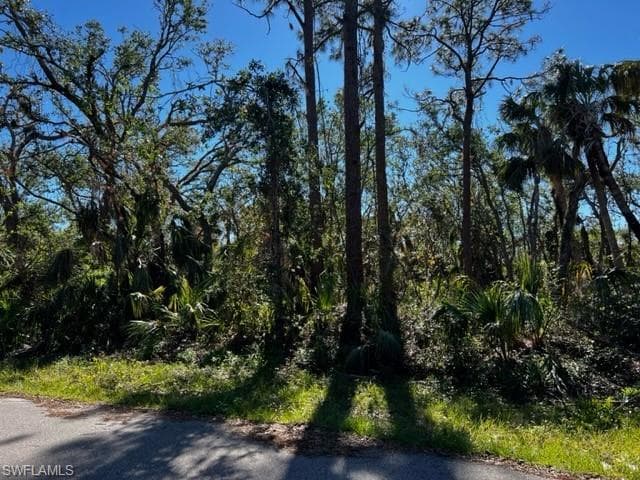 14099 Slichter AVE PORT CHARLOTTE, FL 33953