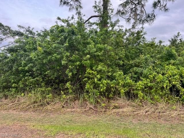 191 Thornton AVE S LEHIGH ACRES, FL 33974
