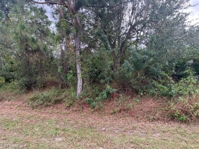 744 Chemstrand ST E LEHIGH ACRES, FL 33974