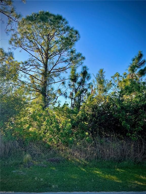 1013 Alaska AVE LEHIGH ACRES, FL 33971