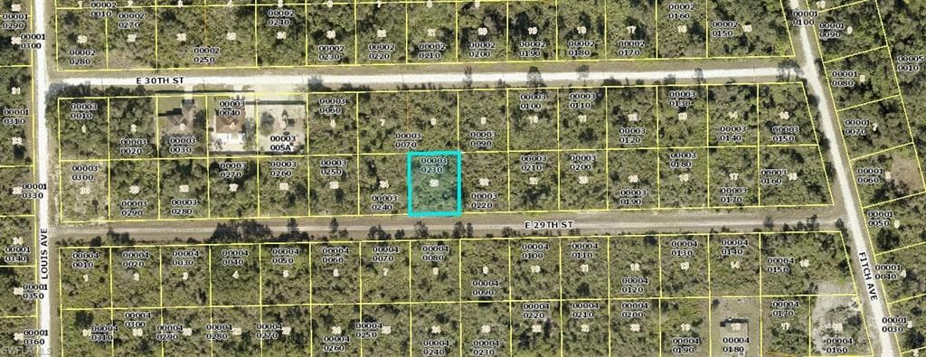 4211 E 29th ST ALVA, FL 33920