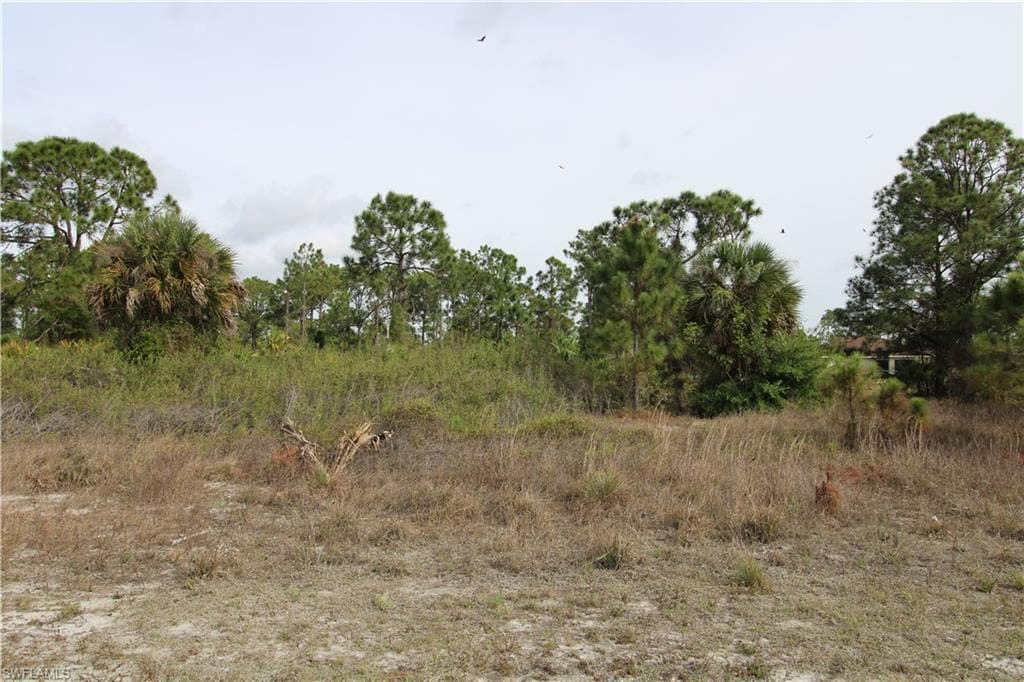 1051 Dearborn ST LEHIGH ACRES, FL 33974